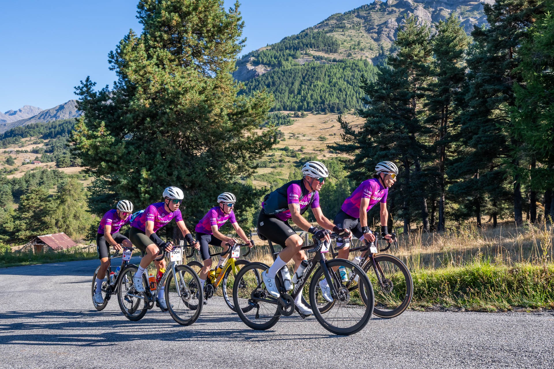 Un groupe de cinq cyclistes en maillot violet